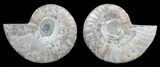 Polished Ammonite Pair - Agatized #56289-1